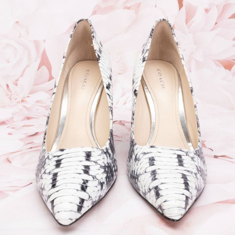 Coach Designer Snake Pattern Pointed Toe Orchard … - image 2